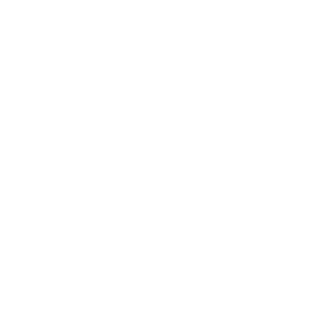 Excelium